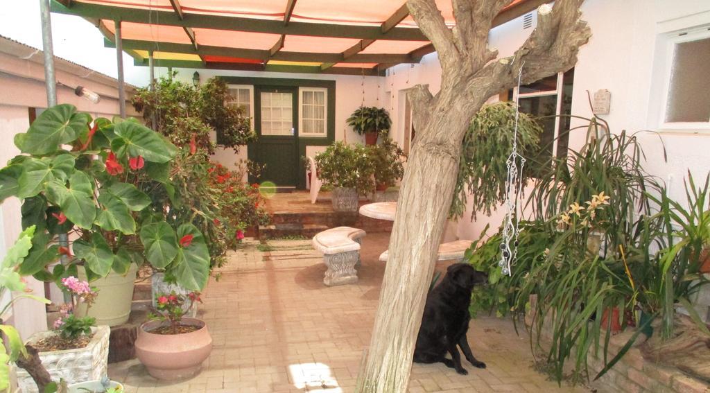 Van Rhyn Guest House Vanrhynsdorp Esterno foto